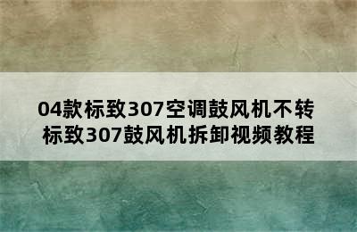 04款标致307空调鼓风机不转 标致307鼓风机拆卸视频教程